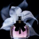 Acqua Colonia - Peach & Coriander - parfum-2, beauty-szepsegapolas -
