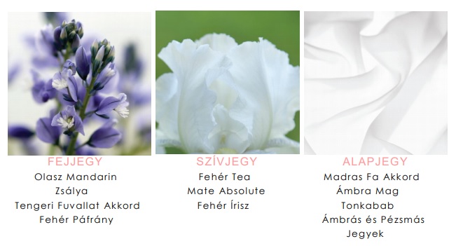 Új illatokkal bővült Elizabeth Arden White Tea családja - parfum-2, beauty-szepsegapolas -