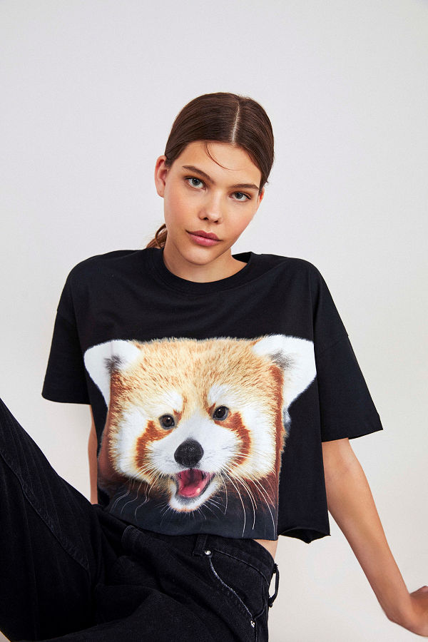 National Geographic X Bershka gorgeous collection arrived - fashion -
