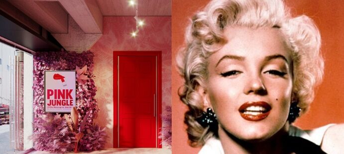 Pink Jungle: 1950s Makeup in America - online exhibition - uncategorized-en, beauty-en -
